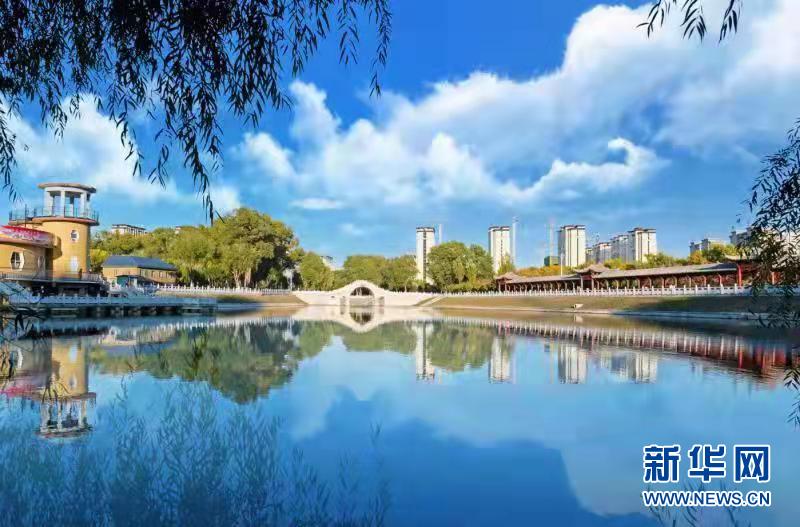 粉木耳排行_大庆市县域经济打出“特色牌”