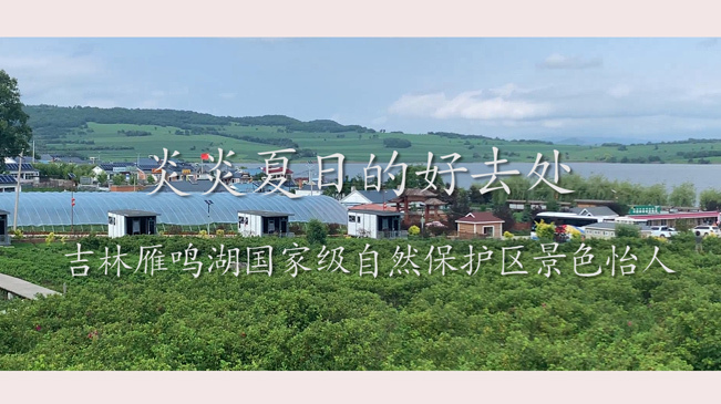 炎炎夏日的好去處 吉林雁鳴湖國家級自然保護區景色怡人